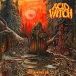 acid witch rot among us gatefold striped lp